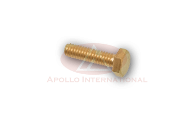 Hex Type Brass Bolts